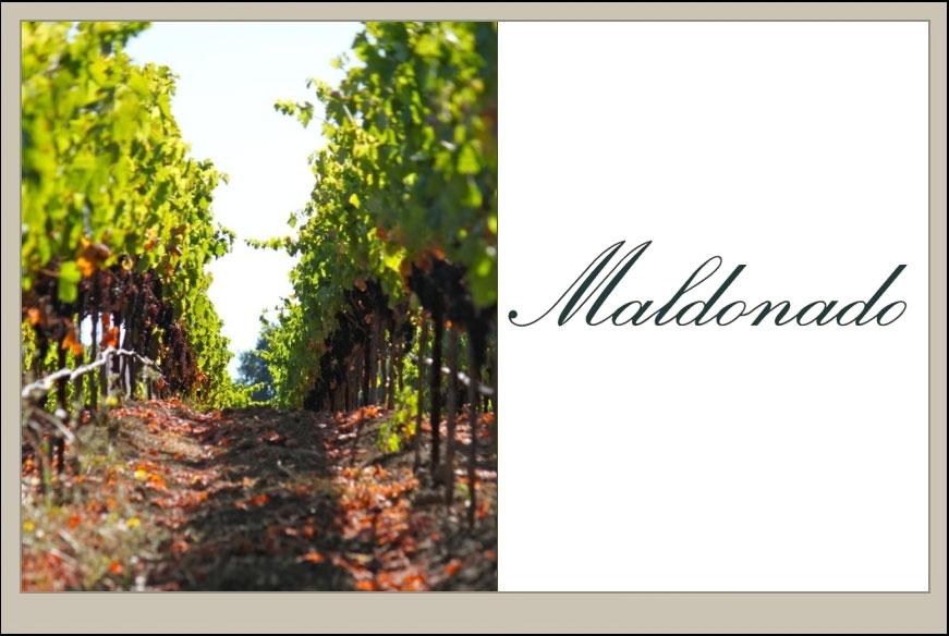 Maldonado Vineyards - Napa Valley